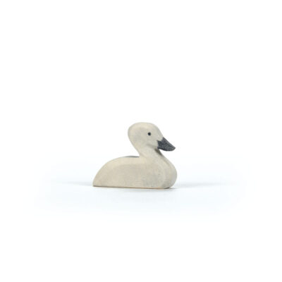 oh02-15905-Schwan-klein